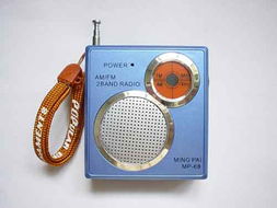 衡阳市金鼎电子有限责任公司