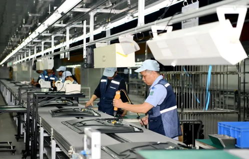 涉及多镇街 东莞这些大项目迎来新进展...