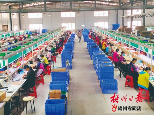 岑溪市努力实现一季度 开门红 ,各项目工地 企业车间涌动着加快建设和生产的热潮