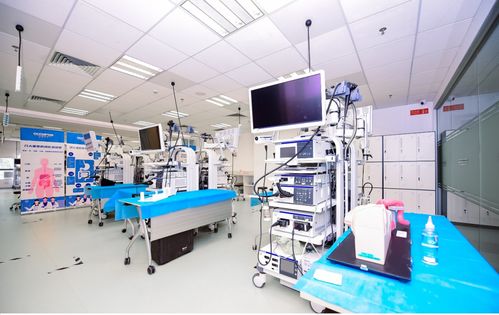 深耕中国市场 奥林巴斯广州医疗技术培训中心亮相电子线材排线生产