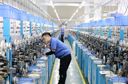 家门口就业助增收 数码产品行业的机遇与挑战